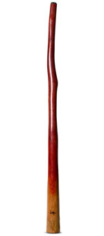 Tristan O'Meara Didgeridoo (TM311)